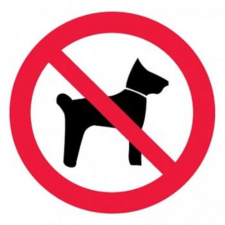 Знак Эксклюзив P14 Запрещается вход (проход) с животными (размер 200х200) фотолюминесцентный