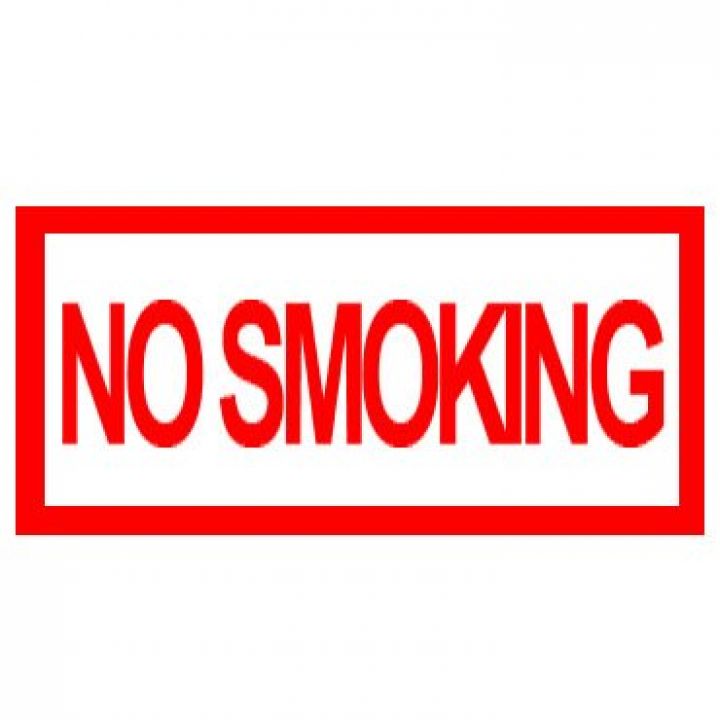 Знак Эксклюзив L31 NO SMOKING (размер 300х150) фотолюминесцентный